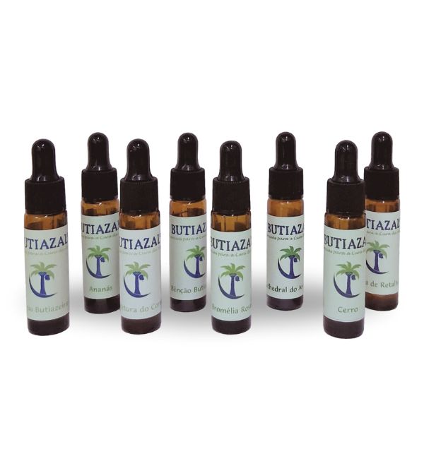 KIT FLORAIS DO BUTIAZAL